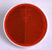 12 6301-110 Round reflex-reflector